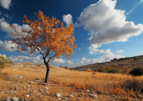 Israeli Autumn Charm Home Design Atmosphere
