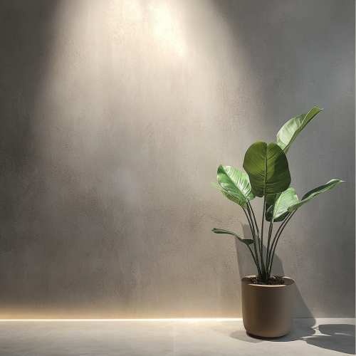 Modern room with soft light, green plant