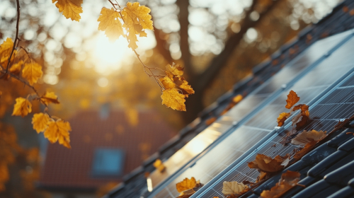 Solar panels on German house roof, with blurred leaves