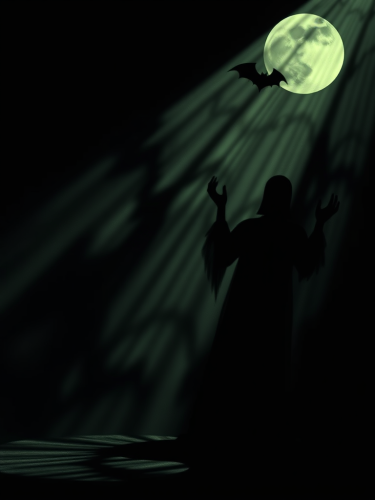 The Scary Shadows Intertwined with Webs