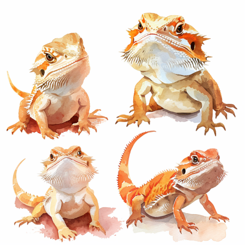 Cute bearded dragons cartoon illustration
