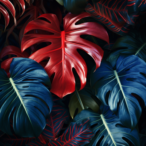Stunning Blue-Red Monstera Leaf Exotic Plant