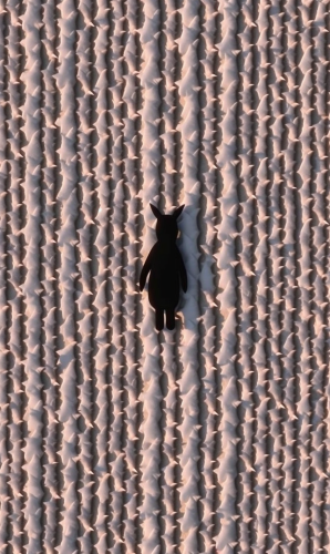 Cute bunnies flying in the sky