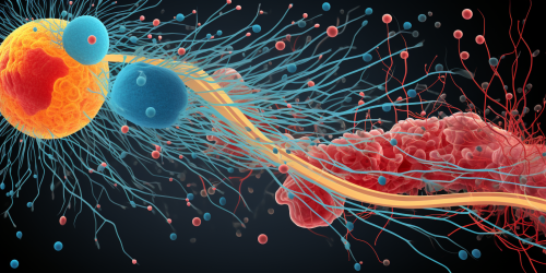 Illustration of Cell Junctions and Cytoskeleton Structures