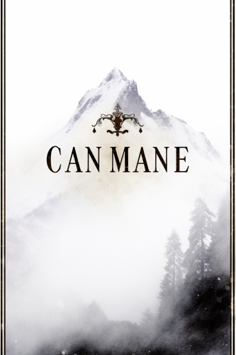 Art Deco style poster of La Compagnie Railway Art Deco style poster of La Compagnie Railway