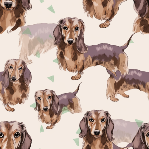 Cute dachshund face art