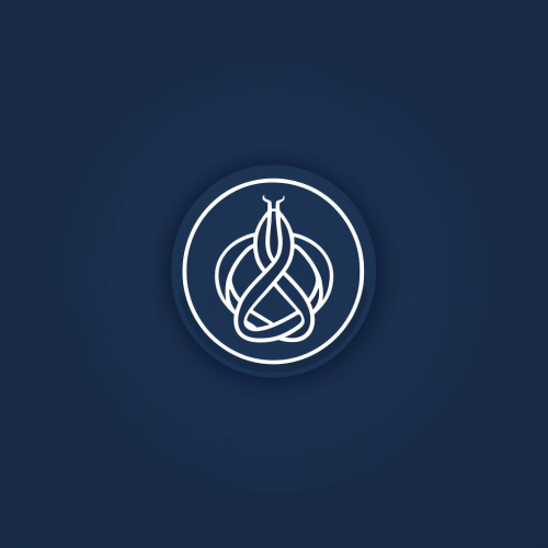 Dark blue flat logo with Instant Search