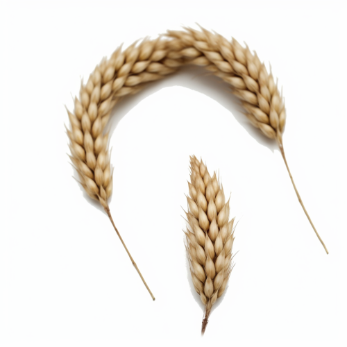 Beige dietary supplement capsule on white background