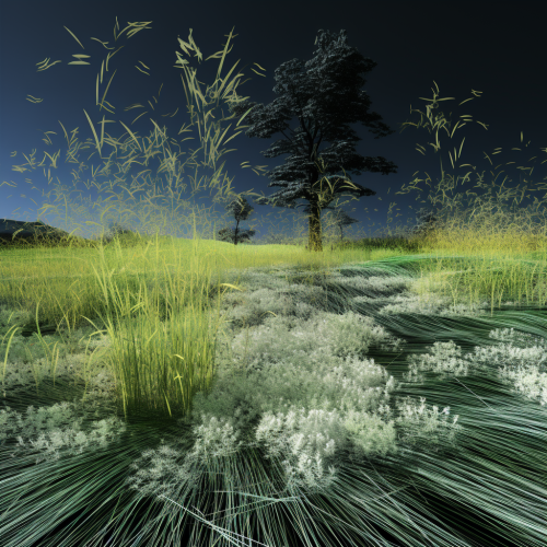 Accurate grass pointcloud scan