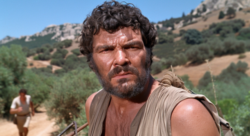 Two Greek playwrights competing for award