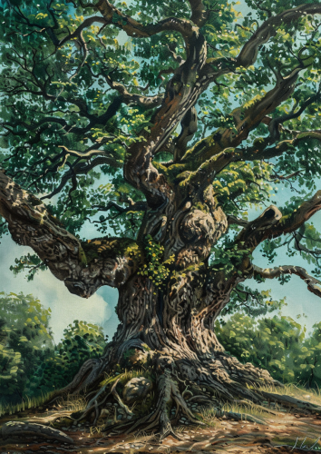 Giant Green Oak Tree Family Giant Green Oak Tree Family