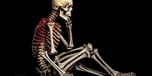 Skeleton lying on black background