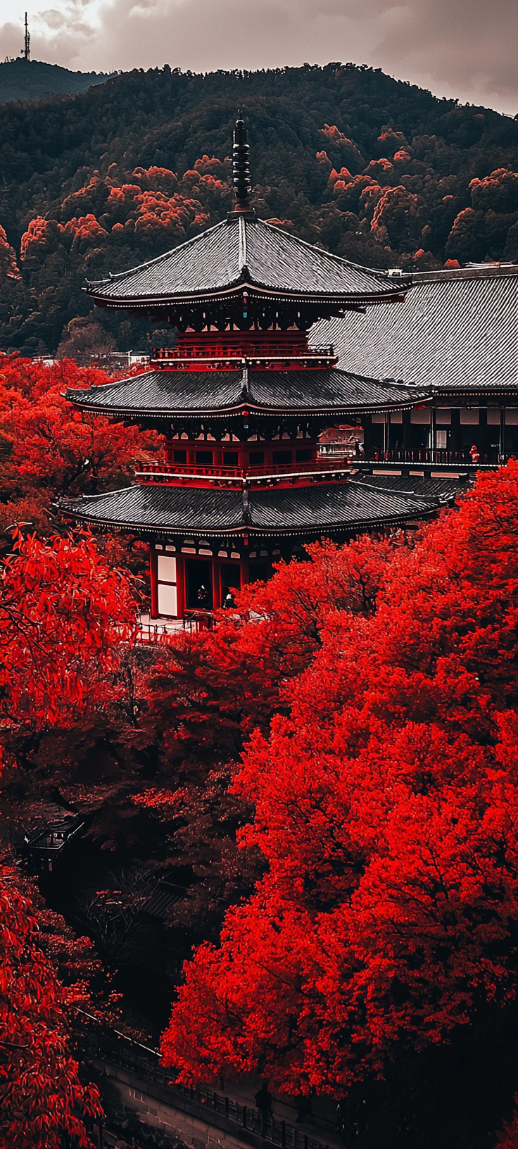 Autumn Leaves Japan Temple Photography