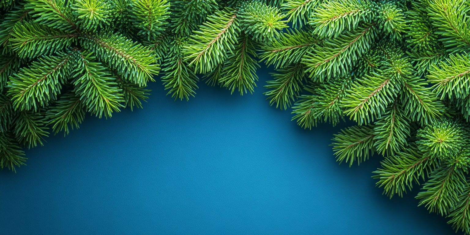 Detailed view of dense pine tree branches from above.