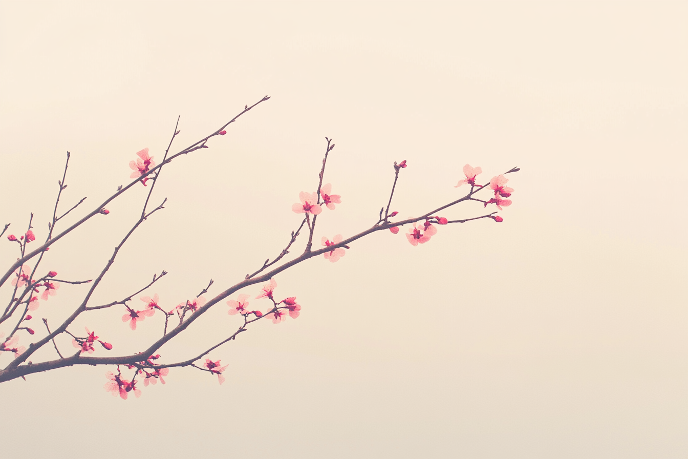 Minimal landscape with blossoming tree branch, delicate pink flowers.