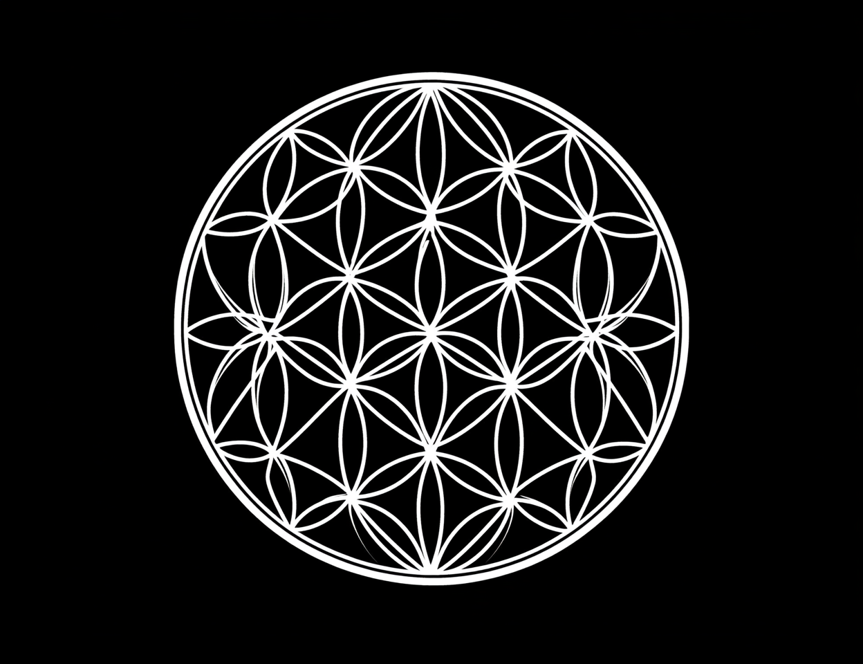 Sacred geometry flower drawing with symmetrical clean design.