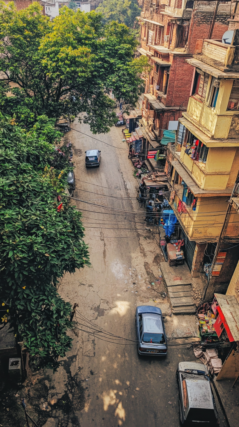 View of Indian street from opposite shop, tree visible.