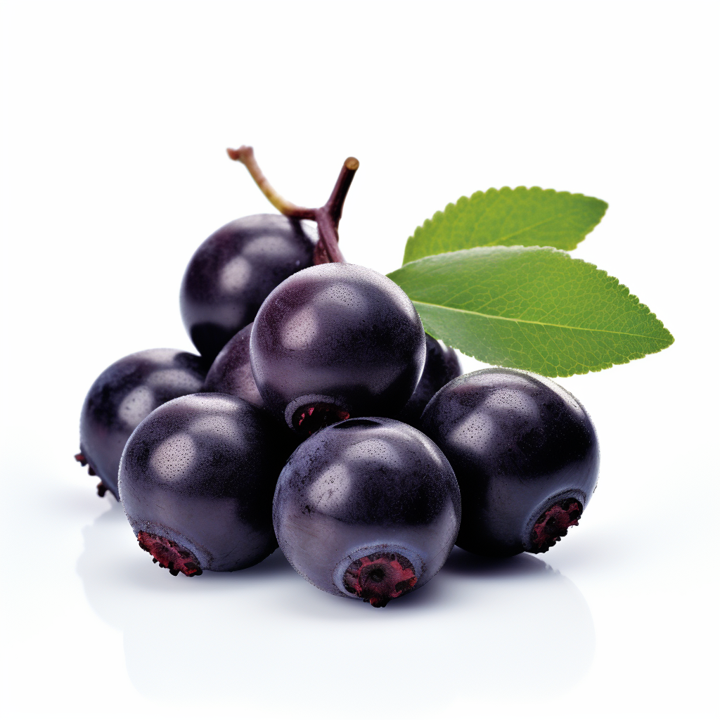 Fresh Acai Berry on White Background