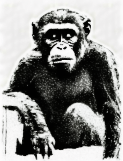 Chaos Monkey artwork by Kathe Kollwitz