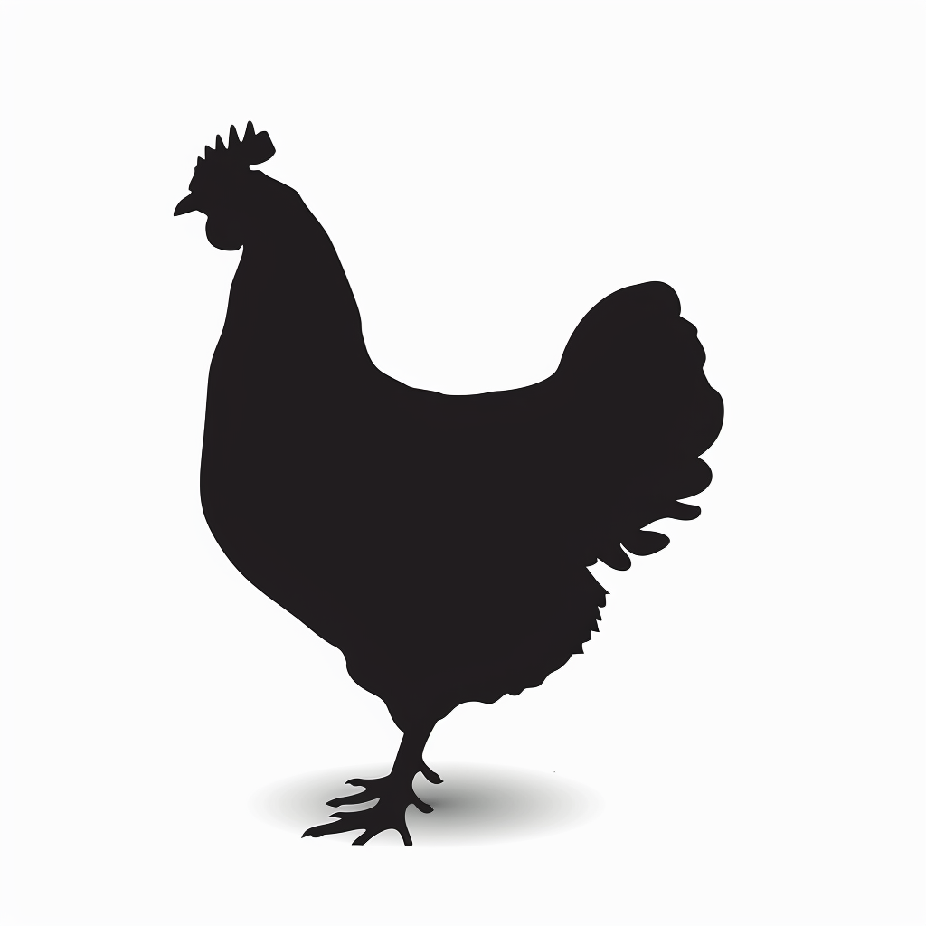 Chicken Silhouette on White Background