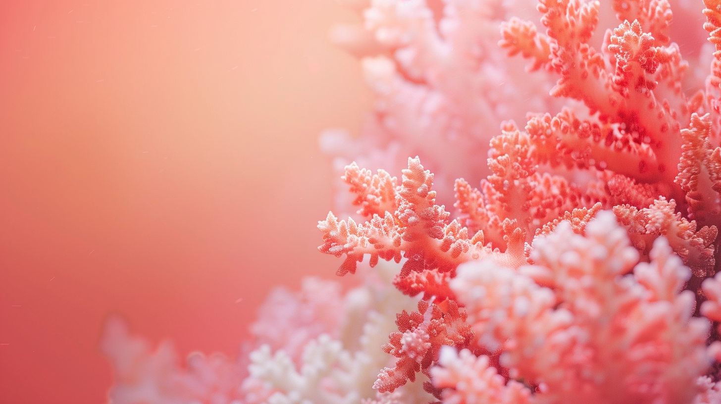 Minimalist Coral Watercolour Presentation Background