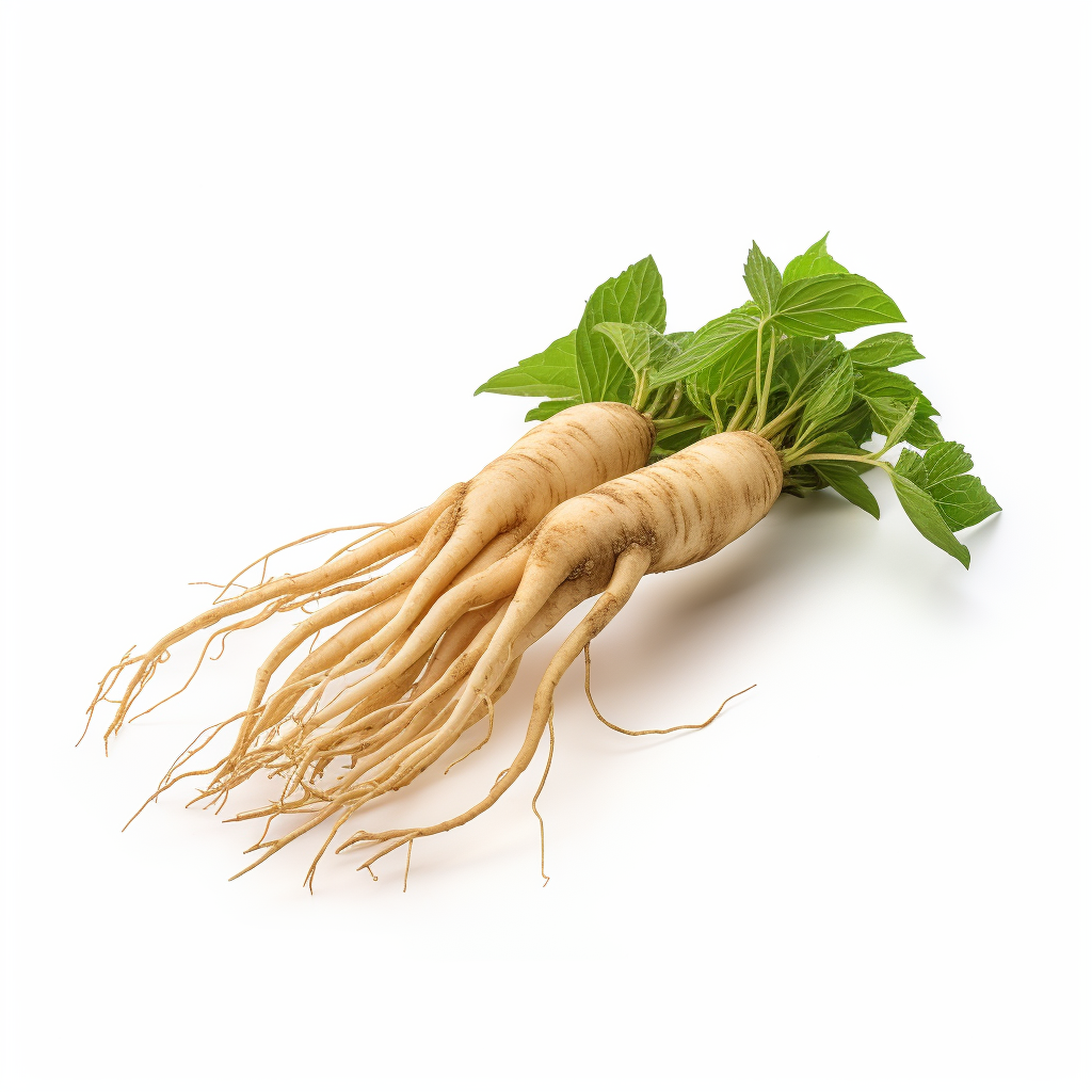 Fresh Ginseng on White Background