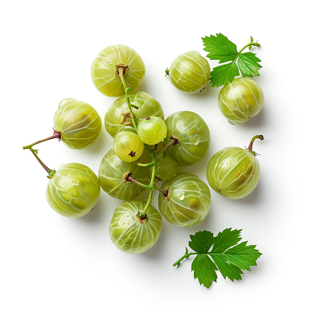 Gooseberry on white background