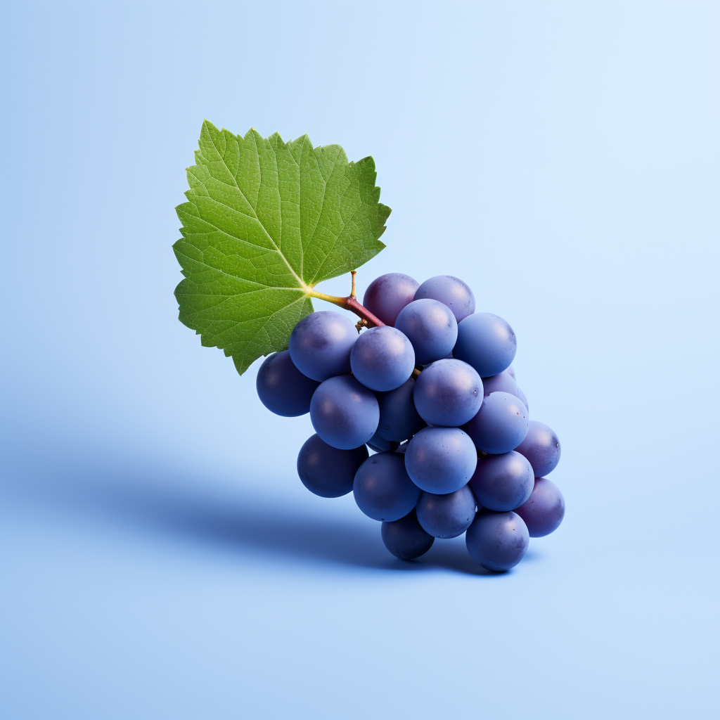 3D photo of a grapes blue berry in minimal style