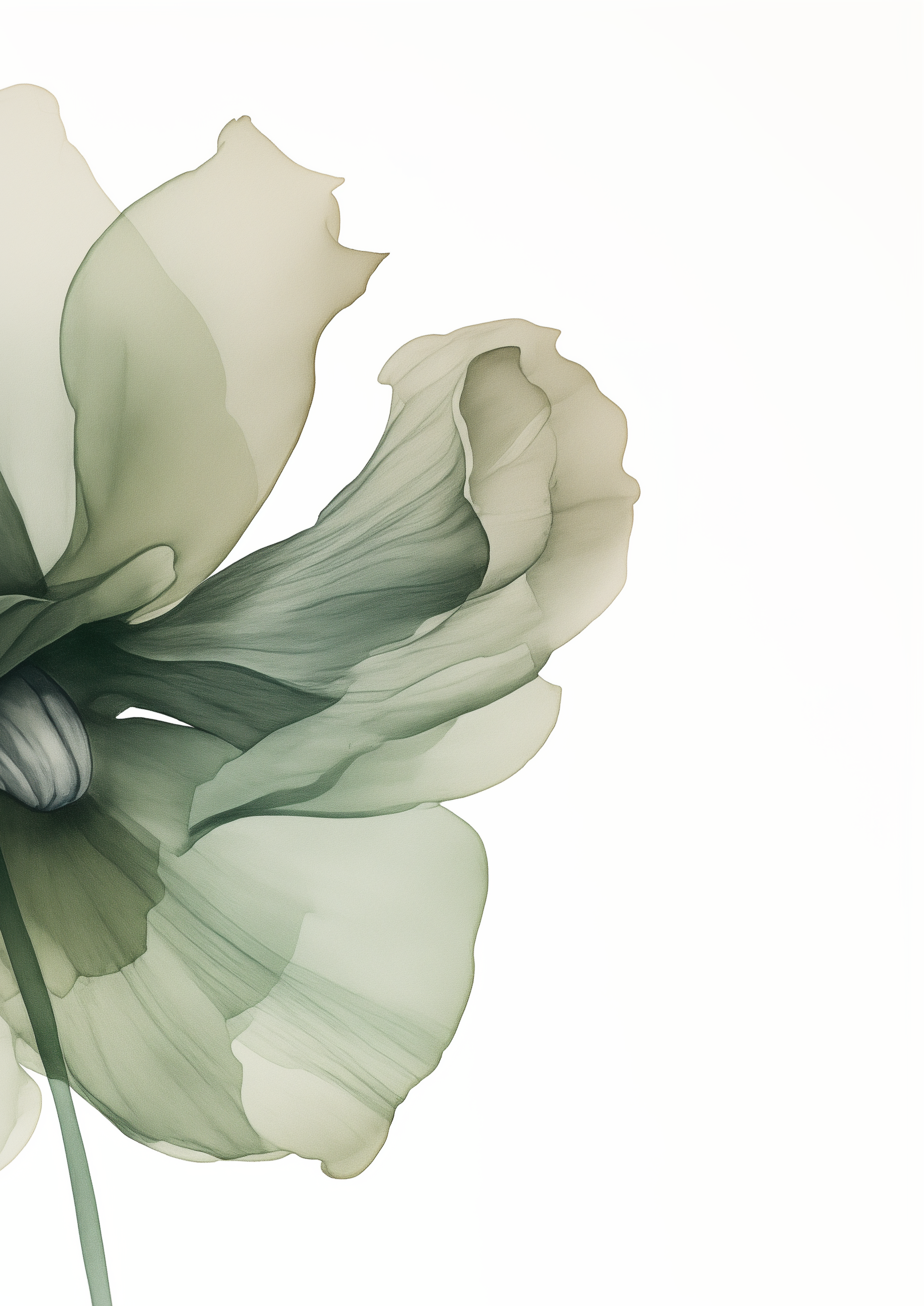 Watercolor Green Flower Print White Background