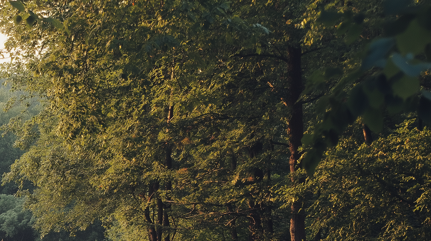 Lonely dirt path through hilly terrain