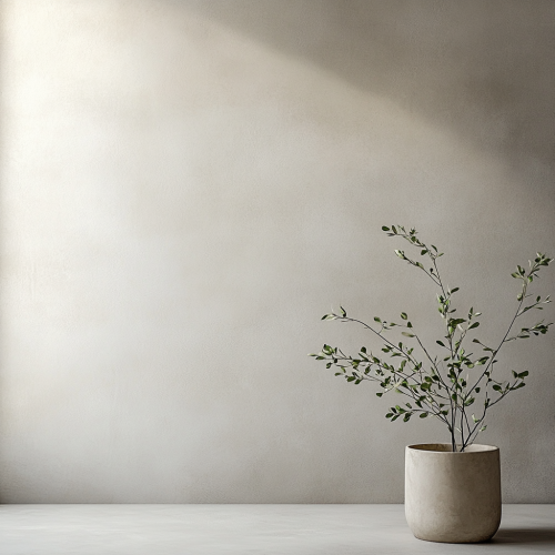 A Delicate Potted Plant Against Soft Wall Background