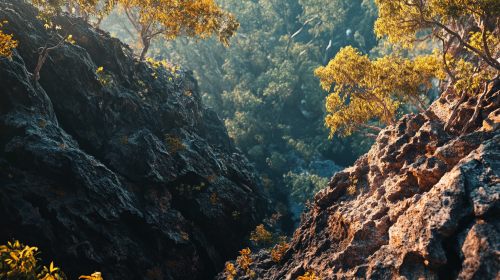 A cinematic view of Litchfield National Park