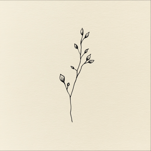 A delicate branch with three tiny leaves.