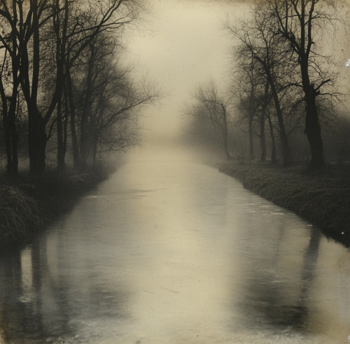 A misty morning by the river in photo