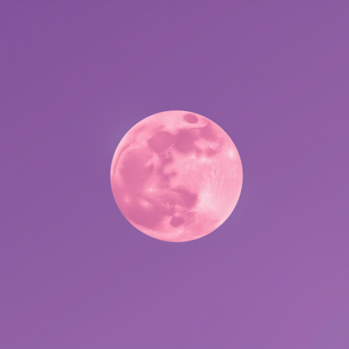 A pink moon shines in the dark night.