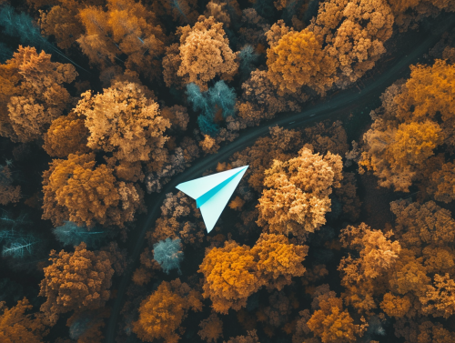Autumn forest with Telegram paper airplane icon