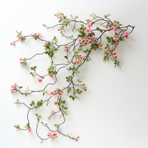 Beautiful pink flower vine on white background