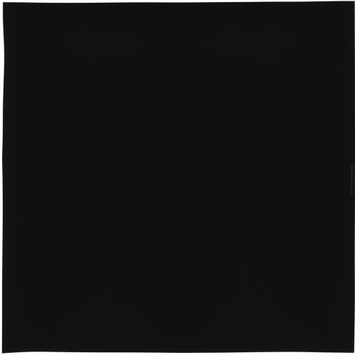 Dark shapes in empty spaces in Arbus photo.