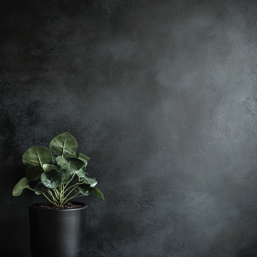 Modern dark wall with green plant for contrast