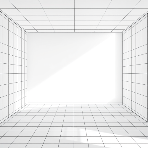 The 3D Render of a Black Wireframe Room