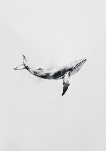 Whale swimming in air, Chinese-style painting