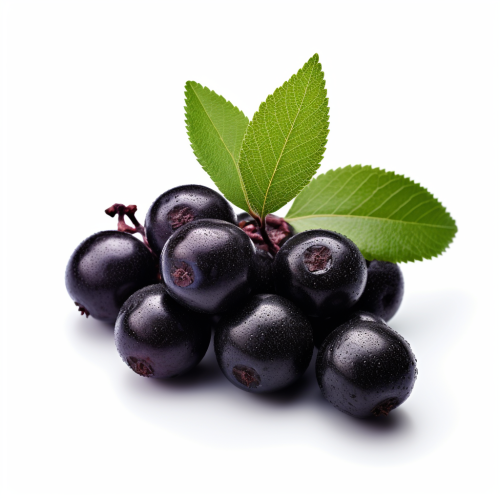 Fresh Acai Berry on White Background