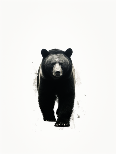 Black bear stencil walking image
