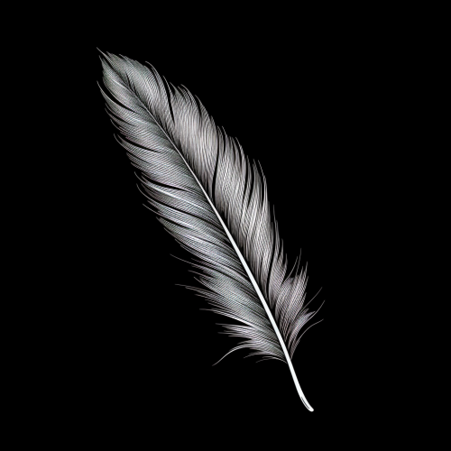 Simple Black Feather Sketch Simple Black Feather Sketch