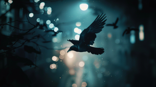 bluebird flying city night bluebird flying city night