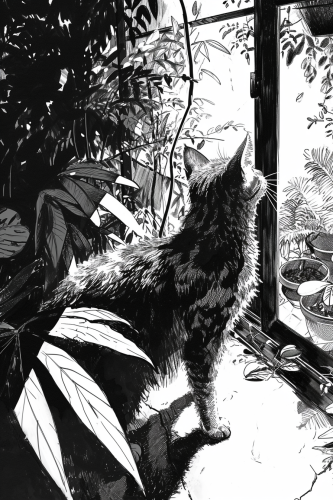 Cat stretching in shadowy room with plants