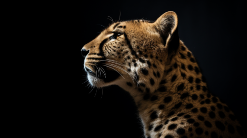 Cheetah side, hyperrealist photography