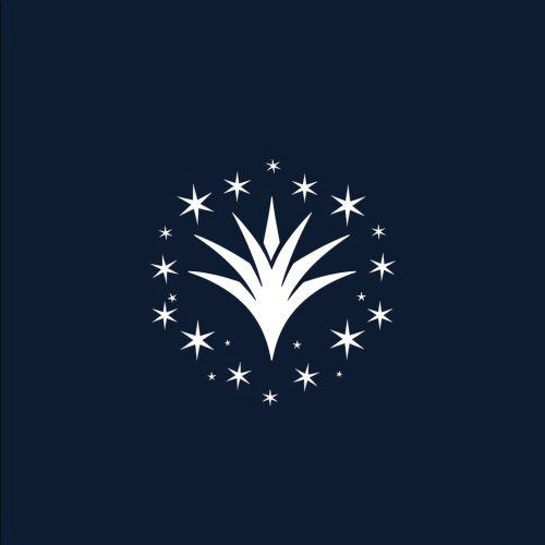 Minimal elegant logo for dark sky center