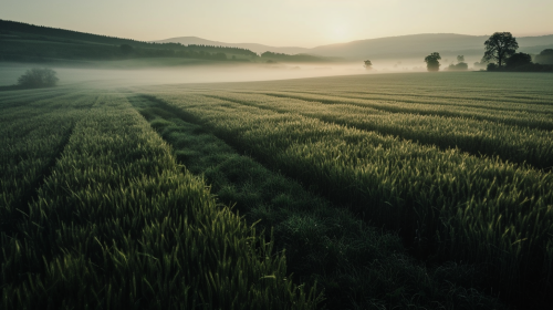 Captured by Hassellad X1D