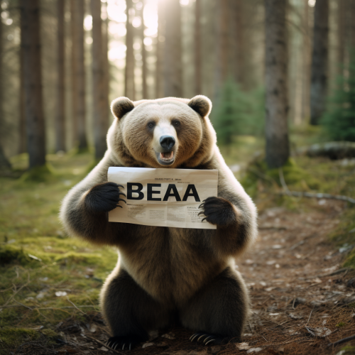 Funny meme bear holding paper with  BERA